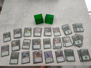 Lote Magic The Gathering Kamigawa