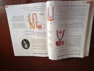 Biología y Geología. 3 Secundaria. Revuela