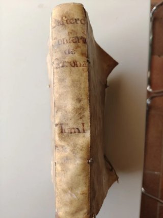 Libro conferencias de la Diocesi del año 1750