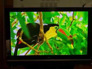 TV LG 50 pulgadas