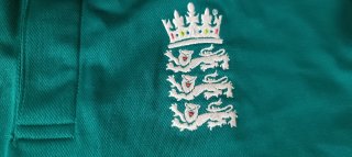 Camiseta Adidas Verde y Azul