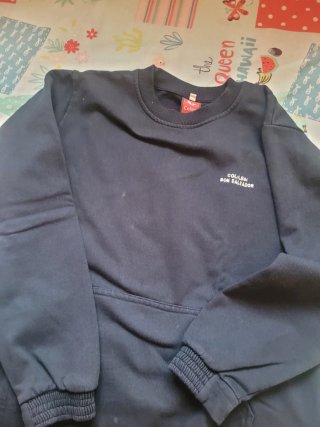 Sudadera Colegio Bon Salvador talla 14