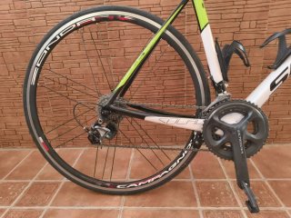 Scott Solace Gran Fondo Carbono