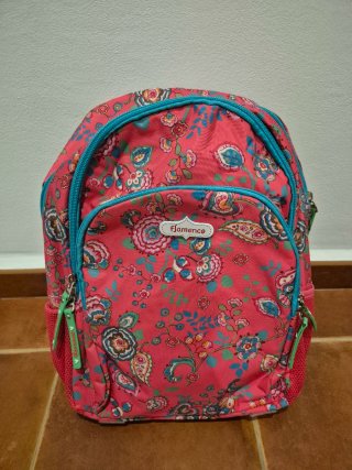 Mochila con carro y ruedas