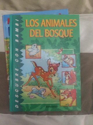 Lote de libros infantiles
