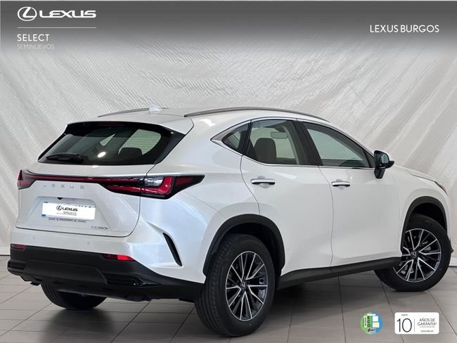 Lexus NX 350h Premium 2WD 2024, foto 3