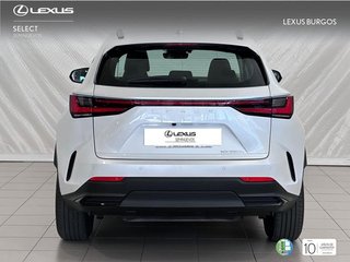 Lexus NX 350H PREMIUM 2WD