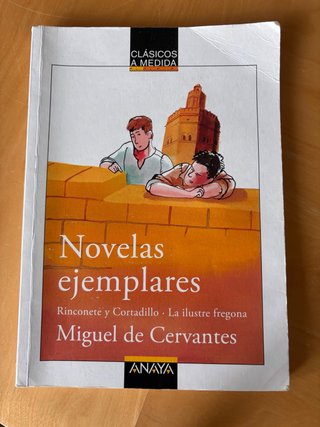Novelas ejemplares