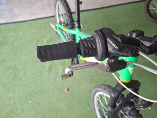 Bicicleta Infantil Conor 20 Verde