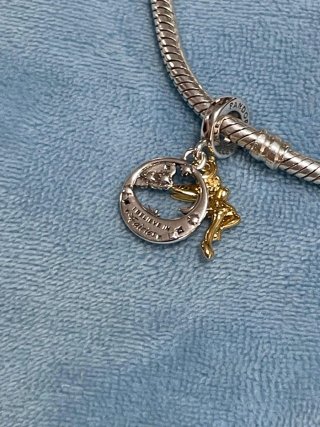 Charm Campanilla Disney