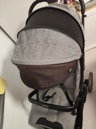 Inglesina maior