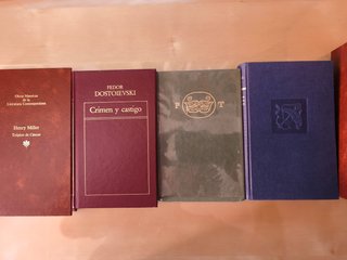 Lote de 10 libros de la Literatura Universal.