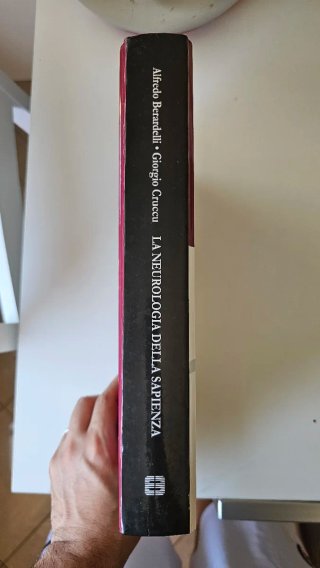 La neurologia della Sapienza