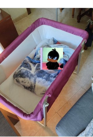 Moisés para bebé