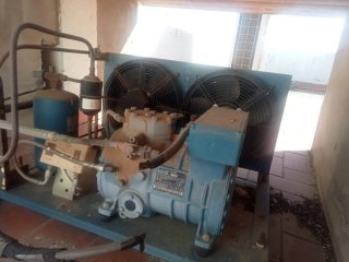 Compresor Frigorífico Frascold A 1 6 Y