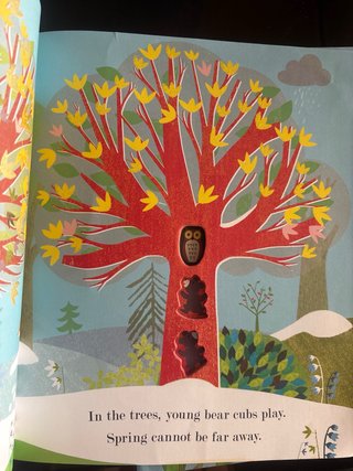Tree Seasons Come, Seasons Go