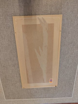 Cuadro flores blancas marco verde