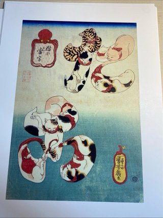 I Gatti di Kuniyoshi - Libro con 12 stampe