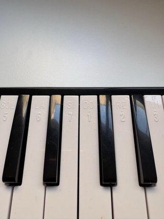 Melódica Record M-32 con funda y accesorios