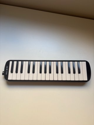 Melódica Record M-32 con funda y accesorios