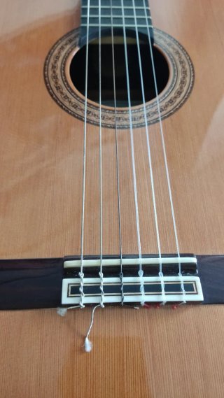 Guitarra Clásica Manuel G. Contreras C-5 y funda