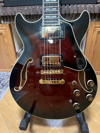 Guitarra y Funda Guitarra Ibanez AM153QA-DBS