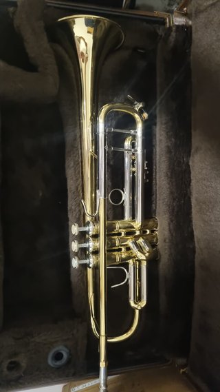 Trompeta Bach Stradivarius Profesional