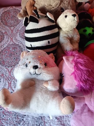 Lote 15 peluches medianos y grandes