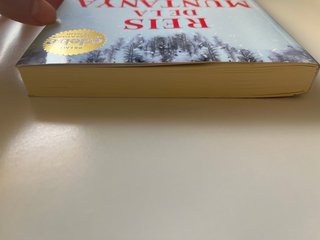 REIS DE LA MUNTANYA. Premi EDEBÉ de Literatura ...