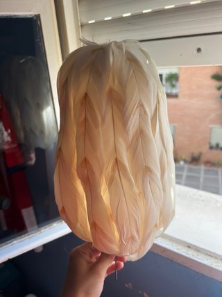 Plumero Judio Beige y Blanco