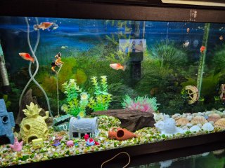 Filtro Acuario Marina Slim S20