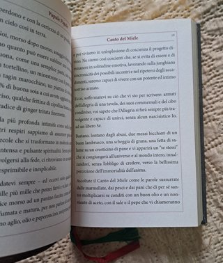 Papale Papale, Ricette che... -  Fabio Picchi