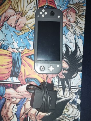 Nintendo Switch Lite Gris