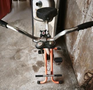 Bicicleta estática Torrot Gymnastica