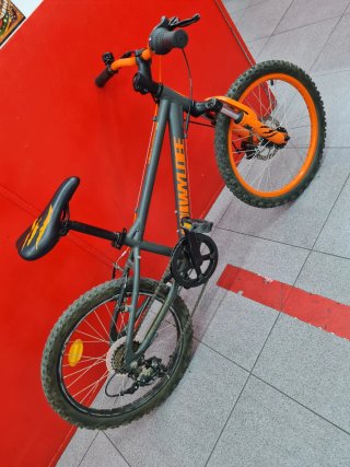 Bicicleta Wyldee 20 Freno Disco