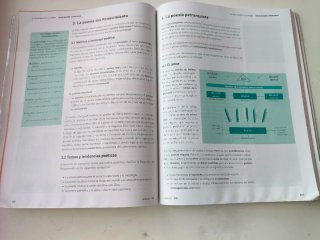 Lengua castellana y literatura 1, Le Bachillerato