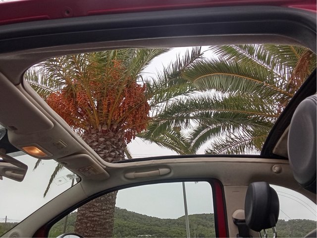 FIAT 500 CABRIO