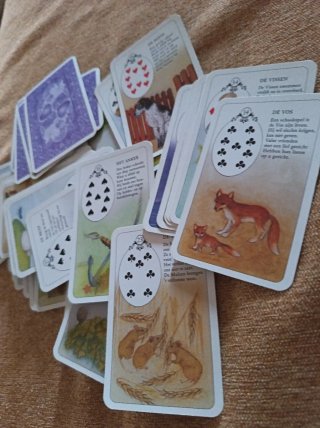 Cartas de Tarot - Baraja Holandesa