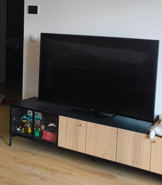 Televisión Samsung Curva 55"