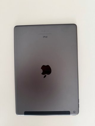 iPad 9ª generazione (perfetto stato)