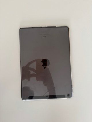iPad 9ª generazione (perfetto stato)