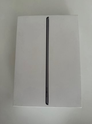 iPad 9ª generazione (perfetto stato)