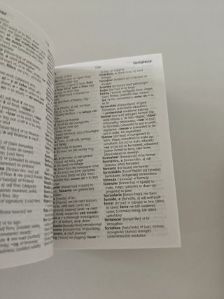 Diccionario Español-Inglés e Inglés-Español mini