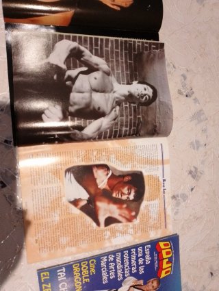 Revistas Dojo