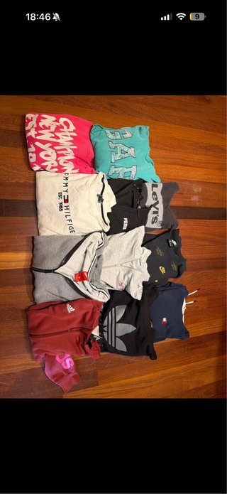 Lote Ropa Marcas Varias sudaderas