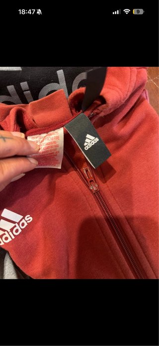 Lote Ropa Marcas Varias sudaderas