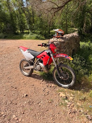 Gas Gas EC 250