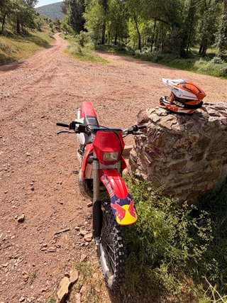 Gas Gas EC 250