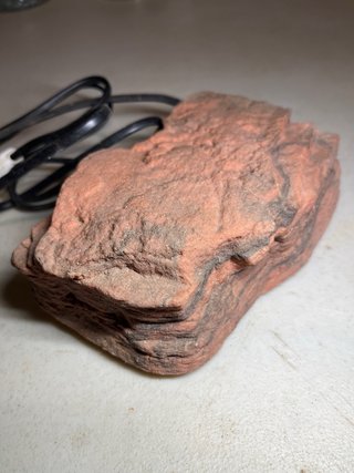 Piedra Calefactora Reptiles