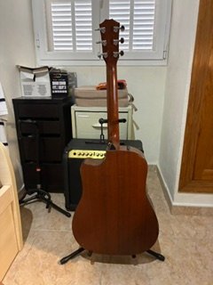 Taylor 310CE ElectroAcustica + Funda Rigida